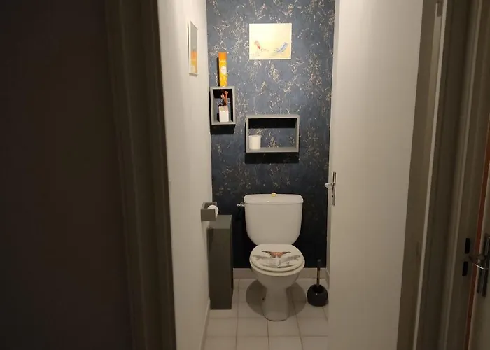 3 Pieces Vue Avec Jardin * サルテーヌ