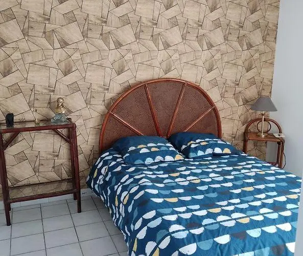 アパート 3 Pieces Vue Avec Jardin サルテーヌ