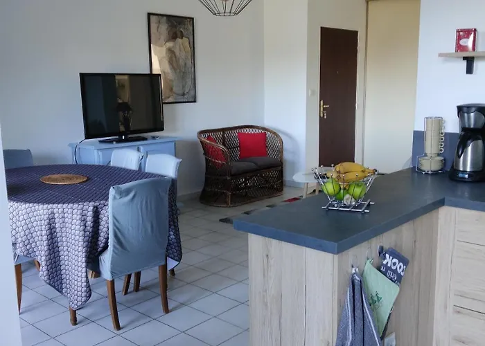 3 Pieces Vue Avec Jardin サルテーヌ