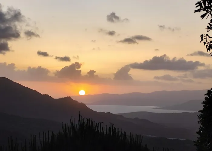 3 Pieces Vue Avec Jardin アパート *